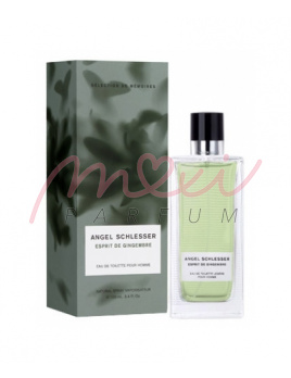 Angel Schlesser Esprit Gingembre, Woda toaletowa 100ml